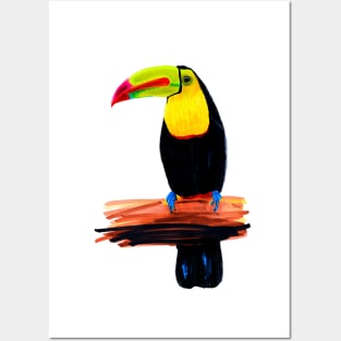 Toucan Posters and Art